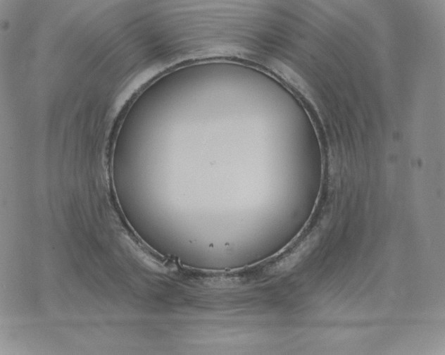 X0000071940789200607281942