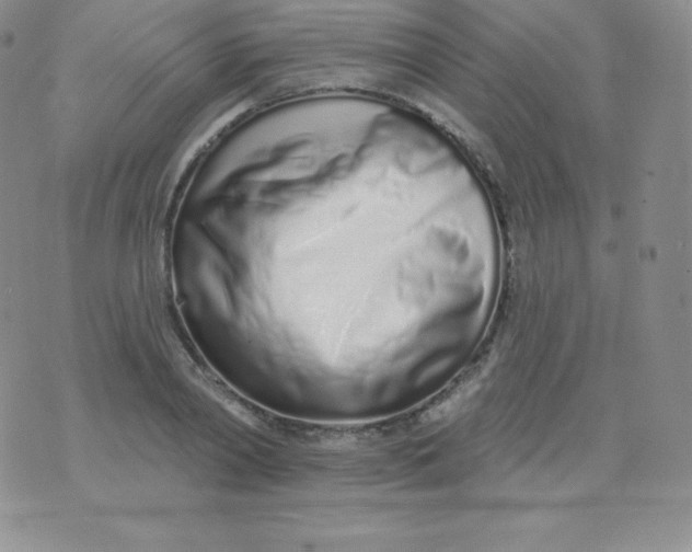 X0000071940790200607281942