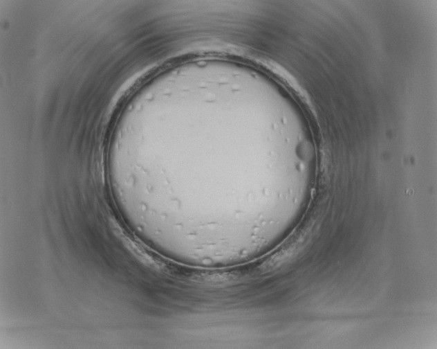 X0000071940791200607281942