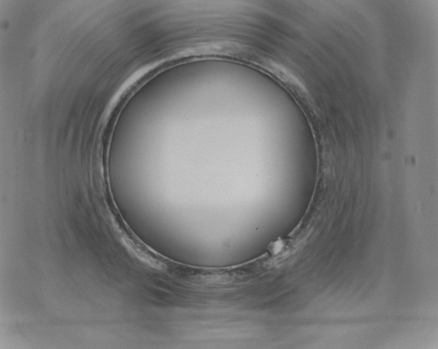 X0000071940792200607281942