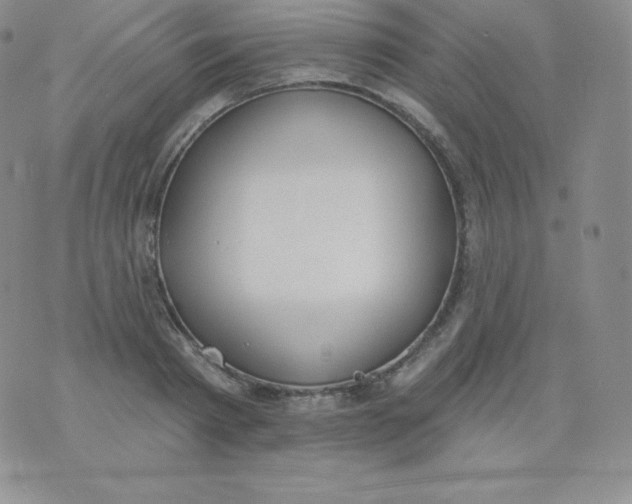 X0000071940793200607281942