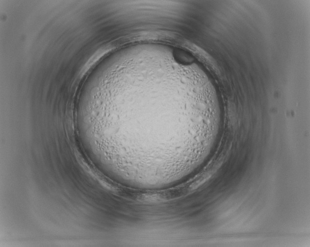 X0000071940794200607281942