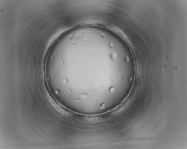 X0000071940795200607281942