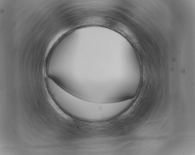 X0000071940796200607281942