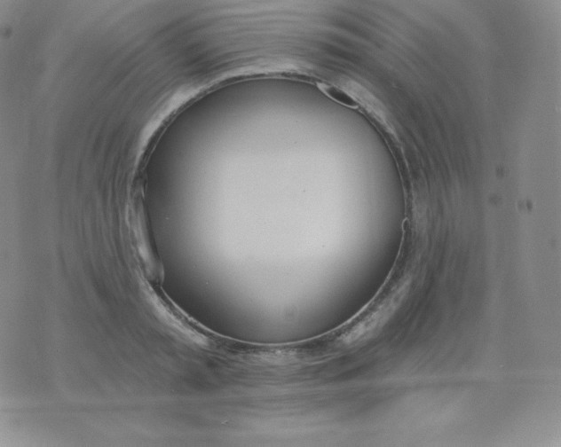 X0000071940797200607281942