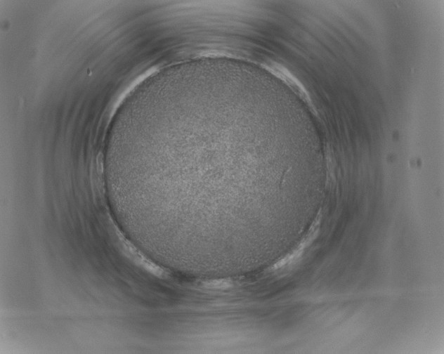 X0000071940798200607281942