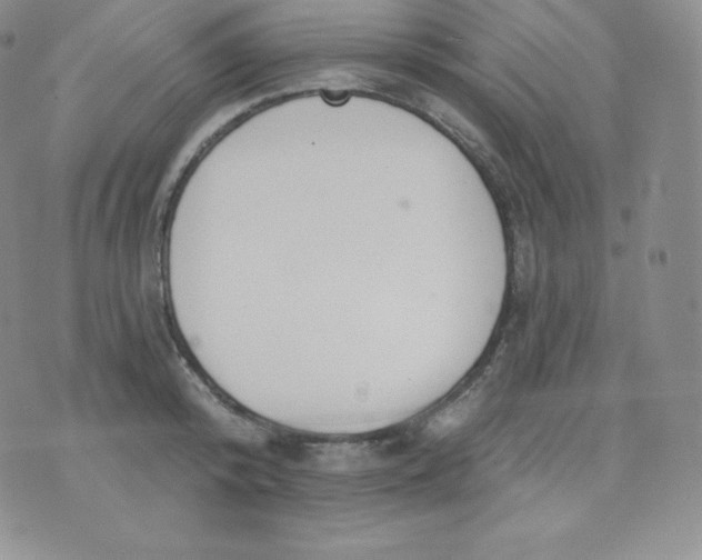 X0000071940800200607281942