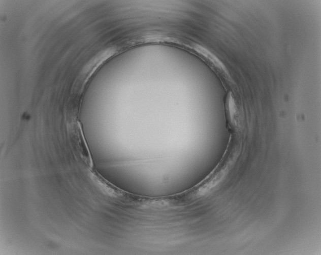 X0000071940801200607281942