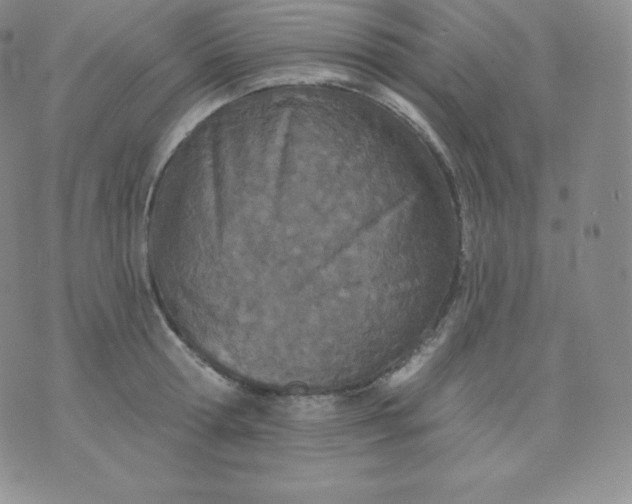 X0000071940802200607281942