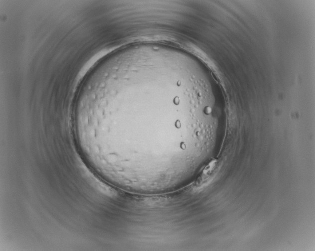 X0000071940803200607281942