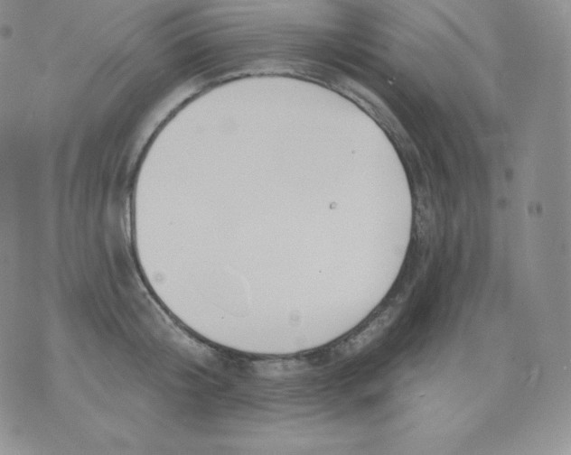 X0000071940804200607281942