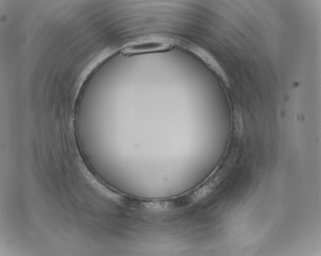 X0000071940805200607281942