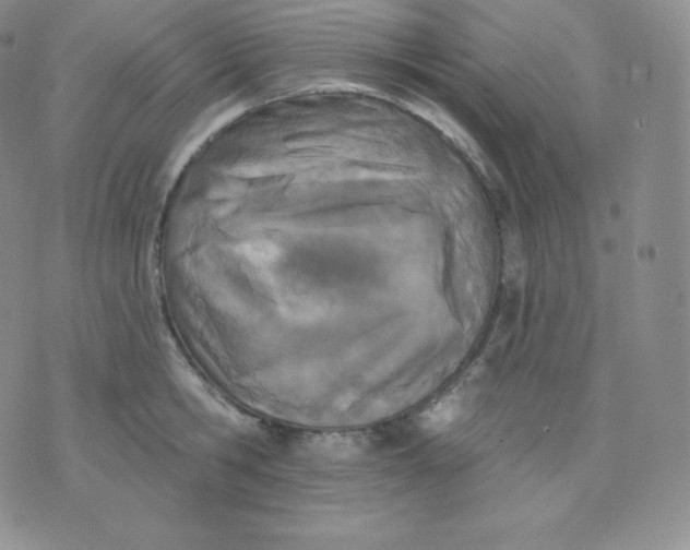 X0000071940806200607281942