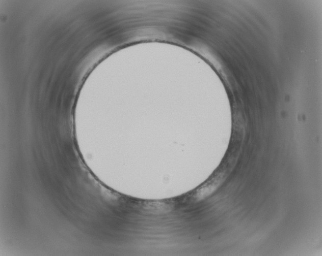 X0000071940807200607281942