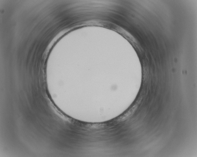 X0000071940808200607281942