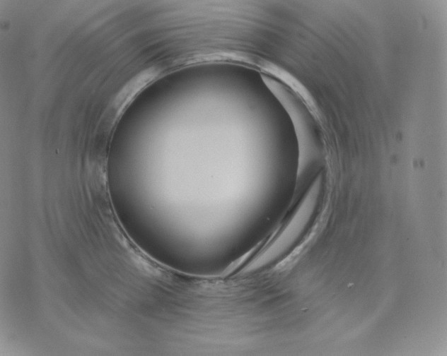 X0000071940809200607281942