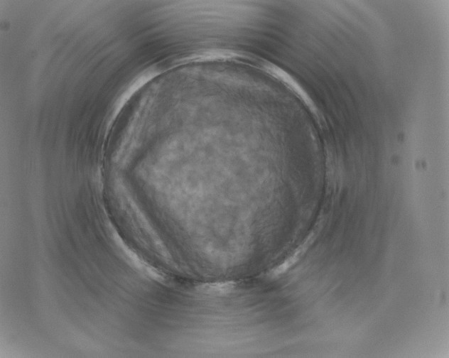 X0000071940810200607281942