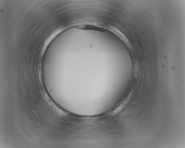 X0000071940812200607281942