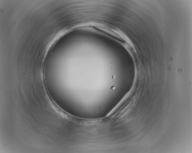 X0000071940813200607281942