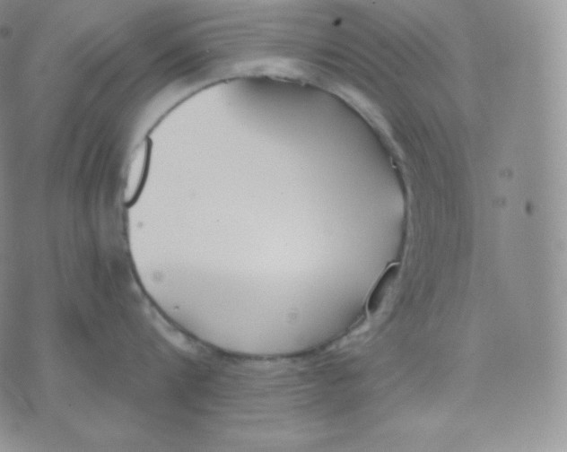 X0000071940816200607281942