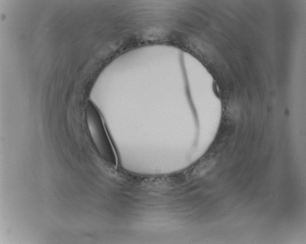 X0000071940817200607281941