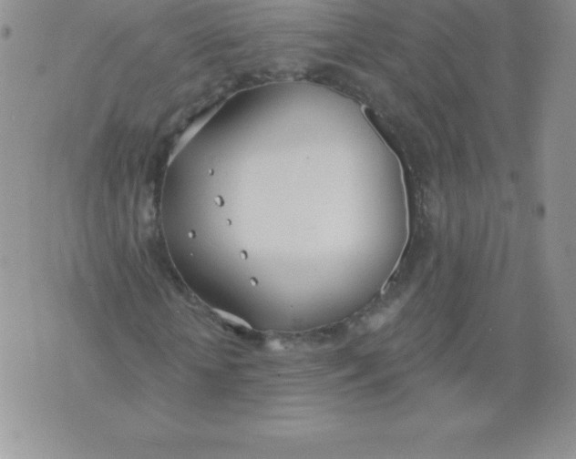 X0000071940818200607281941