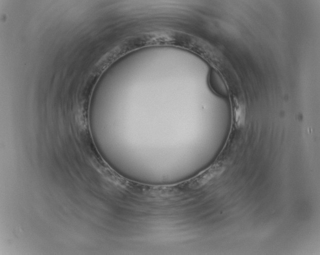 X0000071940819200607281941