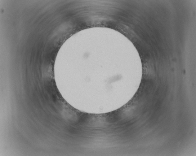 X0000071940820200607281941