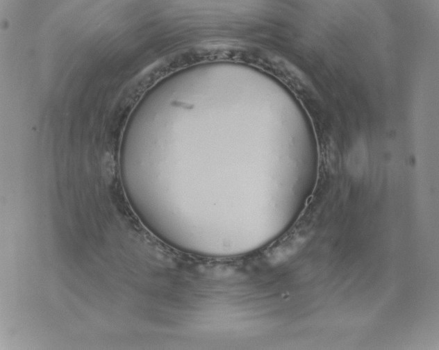 X0000071940821200607281941