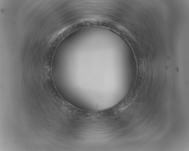 X0000071940822200607281941