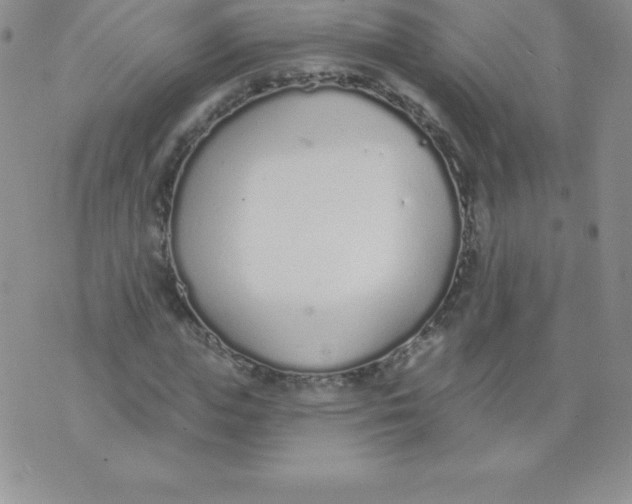 X0000071940823200607281941