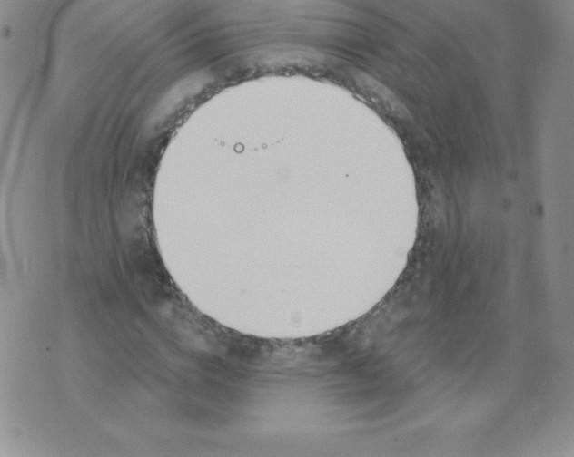 X0000071940824200607281941