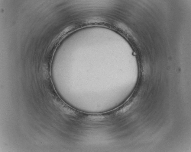 X0000071940825200607281941