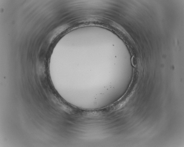 X0000071940826200607281941