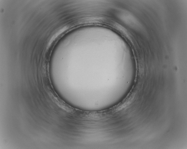 X0000071940827200607281941