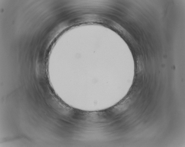 X0000071940828200607281941