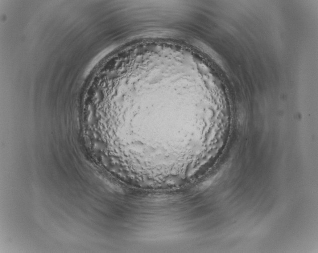 X0000071940829200607281941