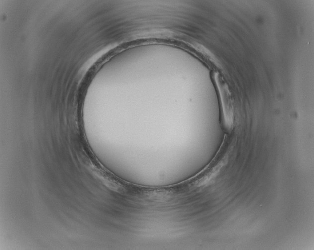 X0000071940830200607281941