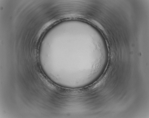 X0000071940831200607281941