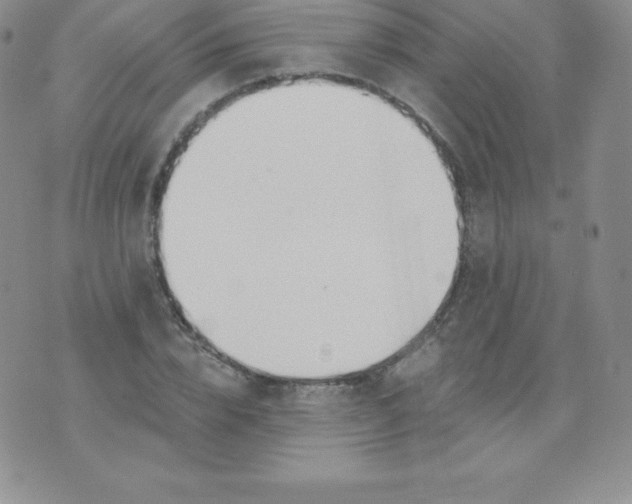 X0000071940832200607281941