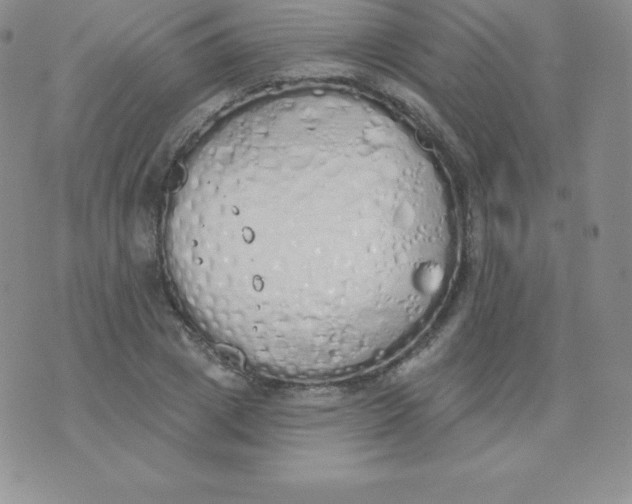 X0000071940833200607281941