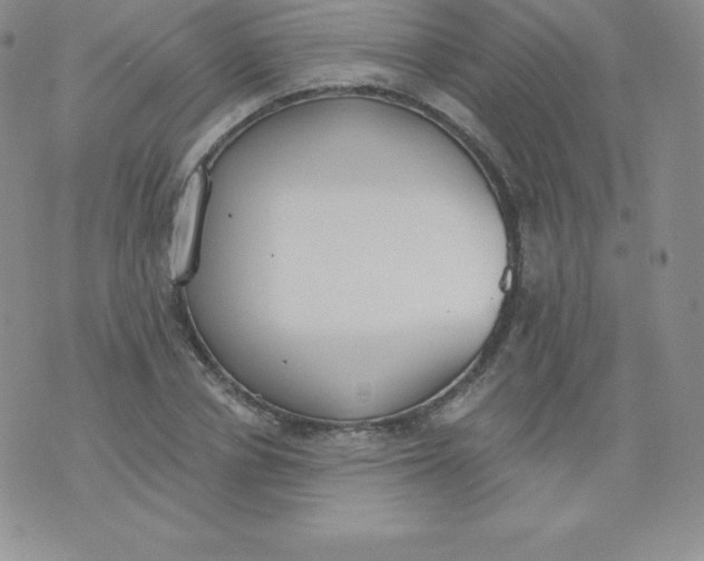 X0000071940834200607281941