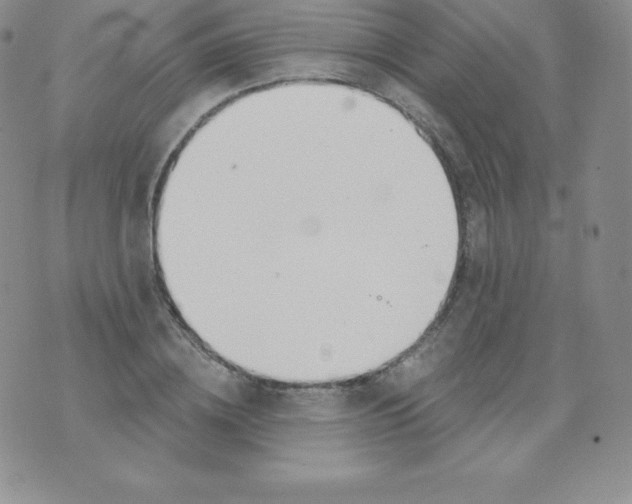 X0000071940836200607281941