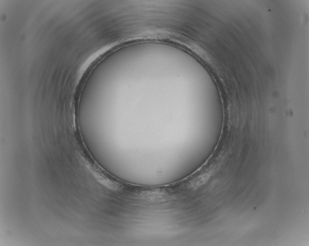 X0000071940838200607281941