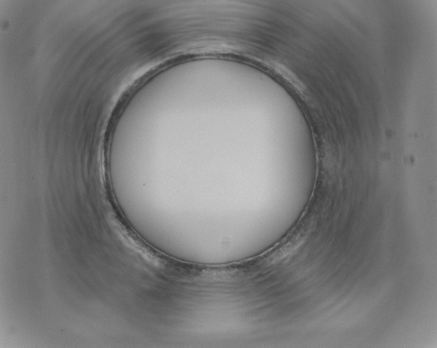 X0000071940840200607281941