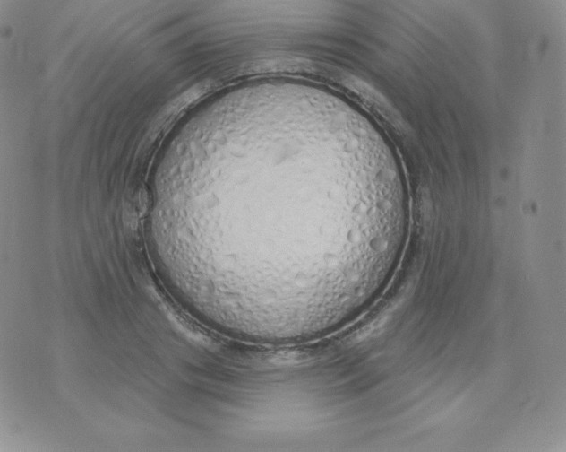 X0000071940841200607281941