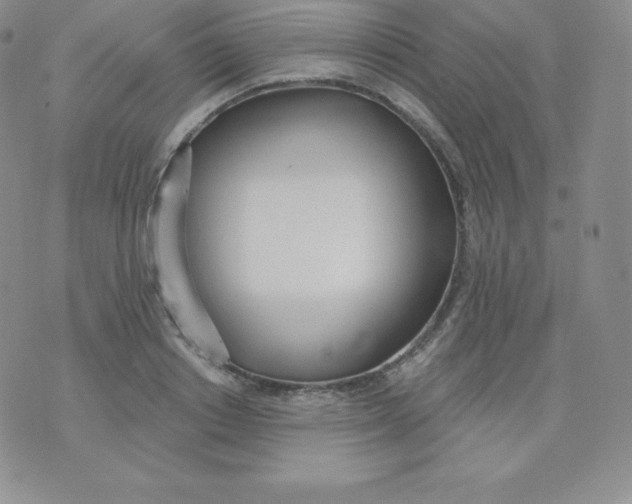 X0000071940842200607281941