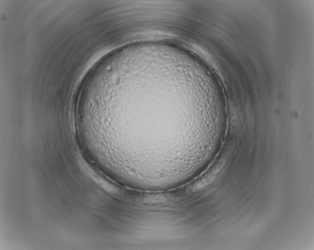 X0000071940843200607281941