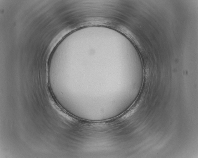 X0000071940844200607281941