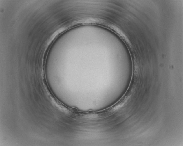 X0000071940845200607281941